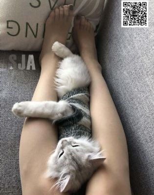 上流社会完整观看_720神马在线观看